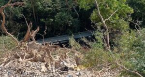 Train derails in southern Mexico, killing 13