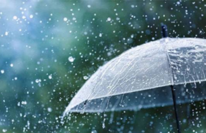 Weather today: Afternoon showers expected in several areas