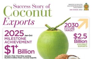 Coconut exports top $1 billion in 2025, up by 40%