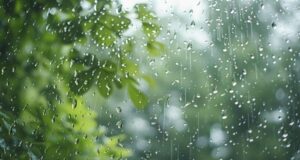 Low-level atmospheric disturbance : Rain expected in several districts today