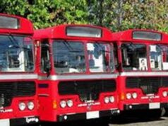 76 rural roads to be upgraded, bus services begin on 40 routes