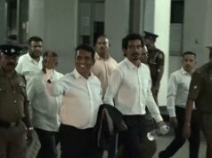 Johnston Fernando & sons further remanded