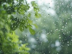 75 mm of rain expected in some Provinces today