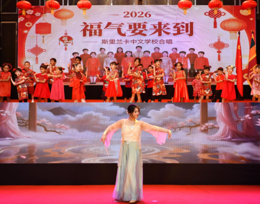 China Reaffirms Commitment to Stronger Sri Lanka Ties at Spring Festival Reception