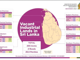 Govt opens up over 200 acres for industrial investment