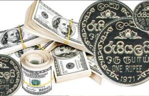 CBSL rates: Rupee continues to depreciate against USD