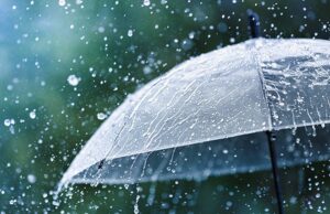 Afternoon showers expected in several districts today
