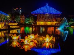Matara to host State Vesak Festival on May 27