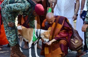 Selfie frenzy disrupts Walk for Peace, Aloka dog falls ill