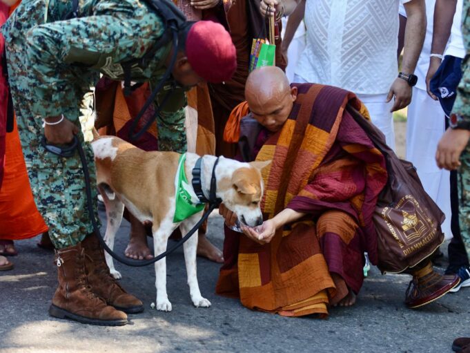 Selfie frenzy disrupts Walk for Peace, Aloka dog falls ill