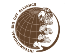 Sri Lanka agrees to join India-led International Big Cat Alliance
