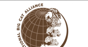 Sri Lanka agrees to join India-led International Big Cat Alliance