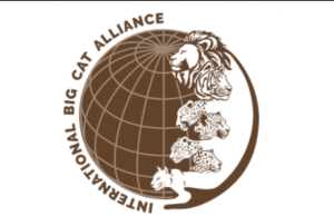 Sri Lanka agrees to join India-led International Big Cat Alliance