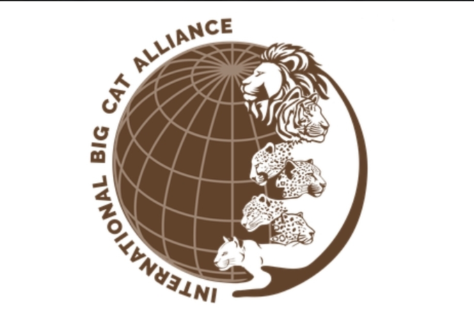 Sri Lanka agrees to join India-led International Big Cat Alliance