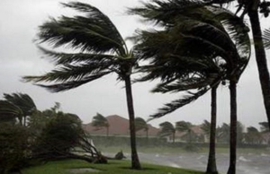 Strong winds up to 50 kmph expected as active southwest monsoon continues