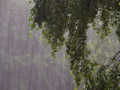 Above 50mm of rain expected in some parts of Sri Lanka today