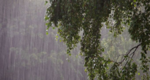 Above 50mm of rain expected in some parts of Sri Lanka today