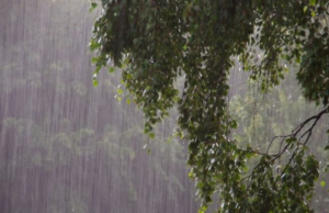 Above 50mm of rain expected in some parts of Sri Lanka today
