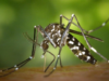 Sri Lanka launches three‑day Dengue Eradication Drive across 14 districts