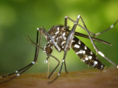 Sri Lanka launches three‑day Dengue Eradication Drive across 14 districts