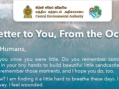 ‘A letter to you, from the Ocean’ – CEA marks Oceans Day 2026