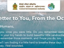 ‘A letter to you, from the Ocean’ – CEA marks Oceans Day 2026