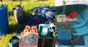 Navy arrests 44 over illegal fishing operations
