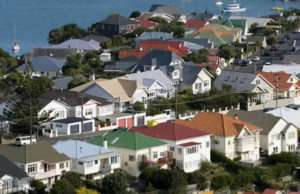 New Zealand capital flooded with faeces after wastewater failure
