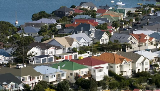 New Zealand capital flooded with faeces after wastewater failure