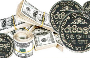 CBSL Rates : USD selling rate increases to Rs. 342