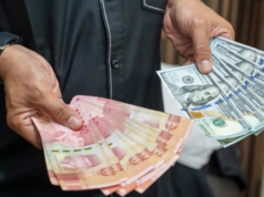 Indonesian rupiah falls to record low against US dollar