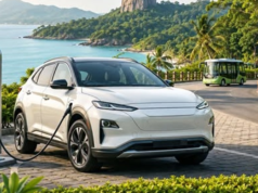 Govt focuses on promoting electric vehicles in tourist zones