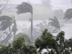 Be prepared: Strong wind advisory issued for multiple districts