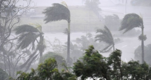 Be prepared: Strong wind advisory issued for multiple districts