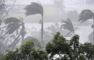 Be prepared: Strong wind advisory issued for multiple districts