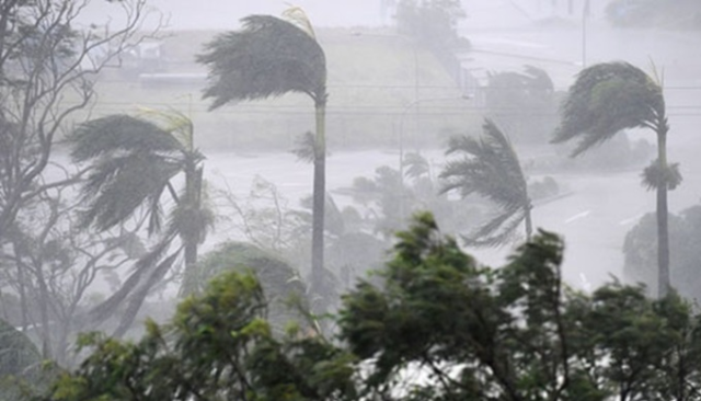 Be prepared: Strong wind advisory issued for multiple districts
