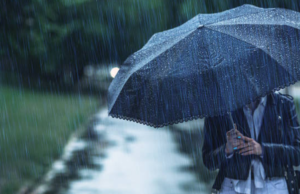 Heavy rain alert issued for 9 districts