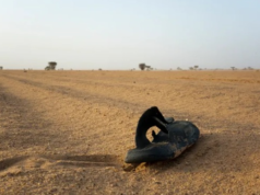 49 die of thirst after lorry breaks down in Niger’s Sahara Desert