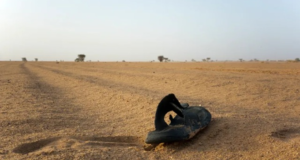 49 die of thirst after lorry breaks down in Niger’s Sahara Desert