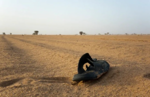 49 die of thirst after lorry breaks down in Niger’s Sahara Desert