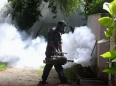 Sri Lanka records 89,639 dengue cases, 65 deaths in 2026