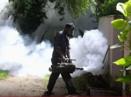 Sri Lanka records 89,639 dengue cases, 65 deaths in 2026