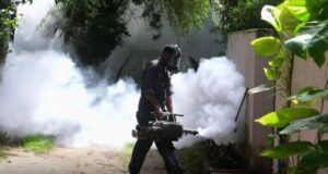 Sri Lanka records 89,639 dengue cases, 65 deaths in 2026