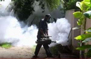 Sri Lanka records 89,639 dengue cases, 65 deaths in 2026