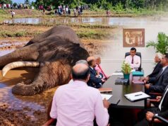 Expert Committee discusses investigation into Tusker Kawanthissa’s death