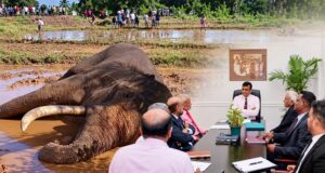 Expert Committee discusses investigation into Tusker Kawanthissa’s death
