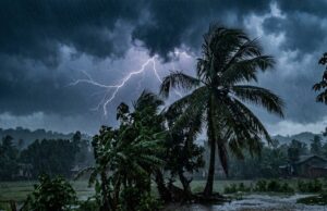 Cyclone developing in Bay of Bengal: What Sri Lanka can expect in coming days